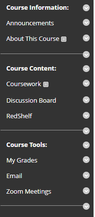 screenshot of default course menu