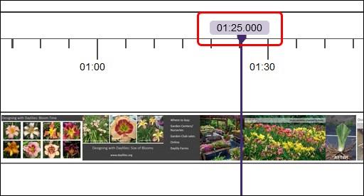 move timeline to start of replacement slide